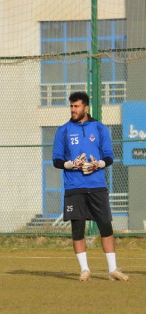 عبد العزيز أحمد